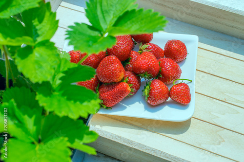 Strawberries on the table. Green leaves of strawberry plants. Fresh fruit in a white porcelain bowl. White vintage table. View from above.