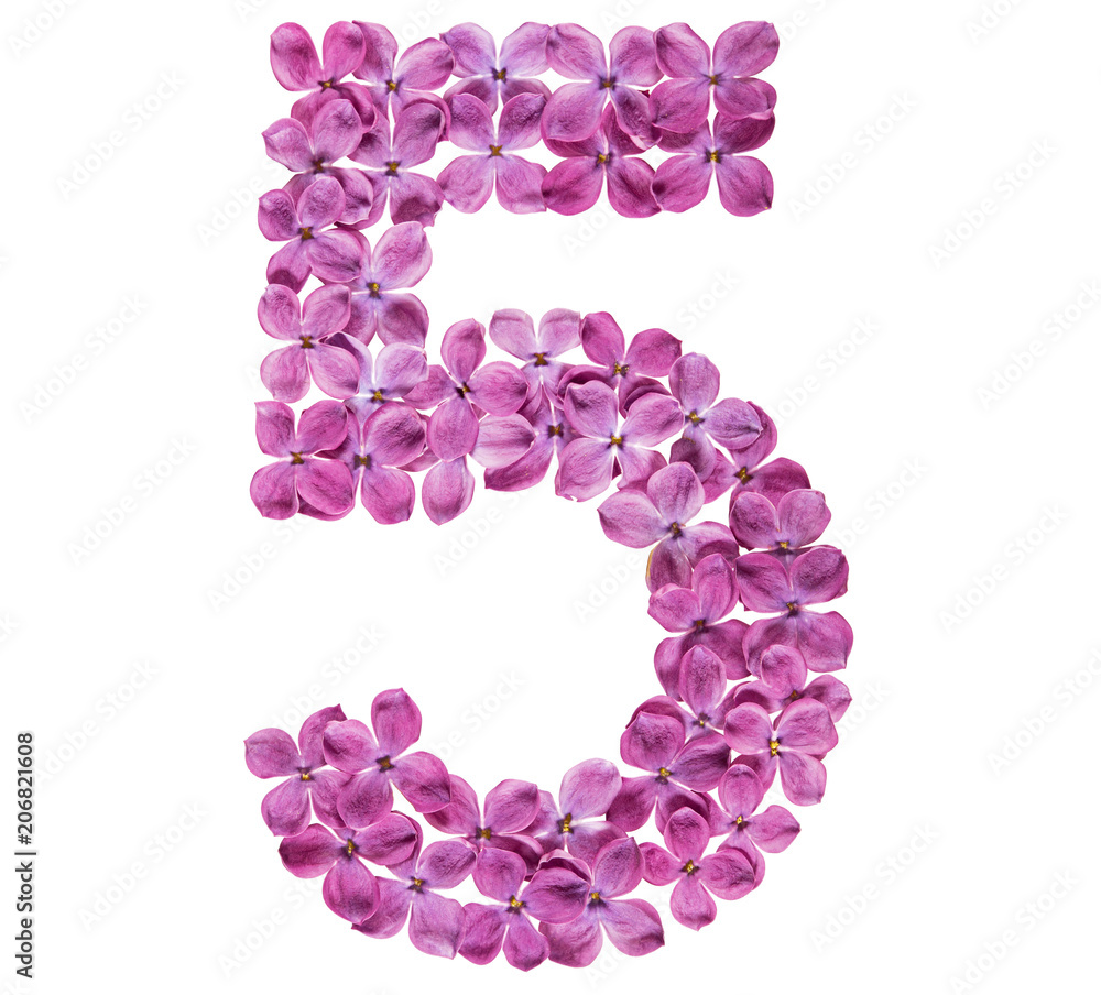 Arabic numeral 5, five, from flowers of lilac, isolated on white background Arabic numeral 5, five, from flowers of lilac, isolated on white background