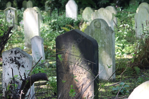 Tombstones in the sunlight