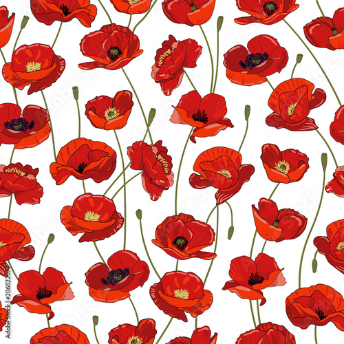 Vector seamless pattern with red poppies on a white background. bright, juicy red buds