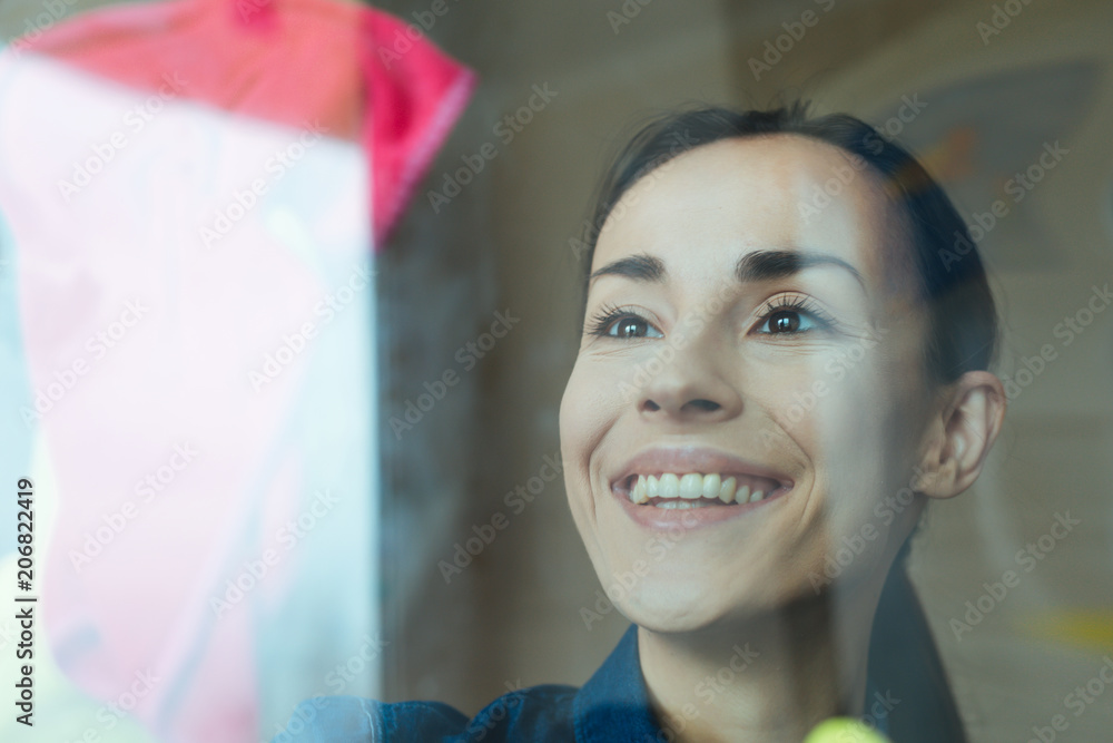 Beautiful Young Woman is Using a Duster and a Spray and Smiling While Cleaning Windows in the House Beautiful Young Woman is Using a Duster and a Spray and Smiling While Cleaning Windows in the House