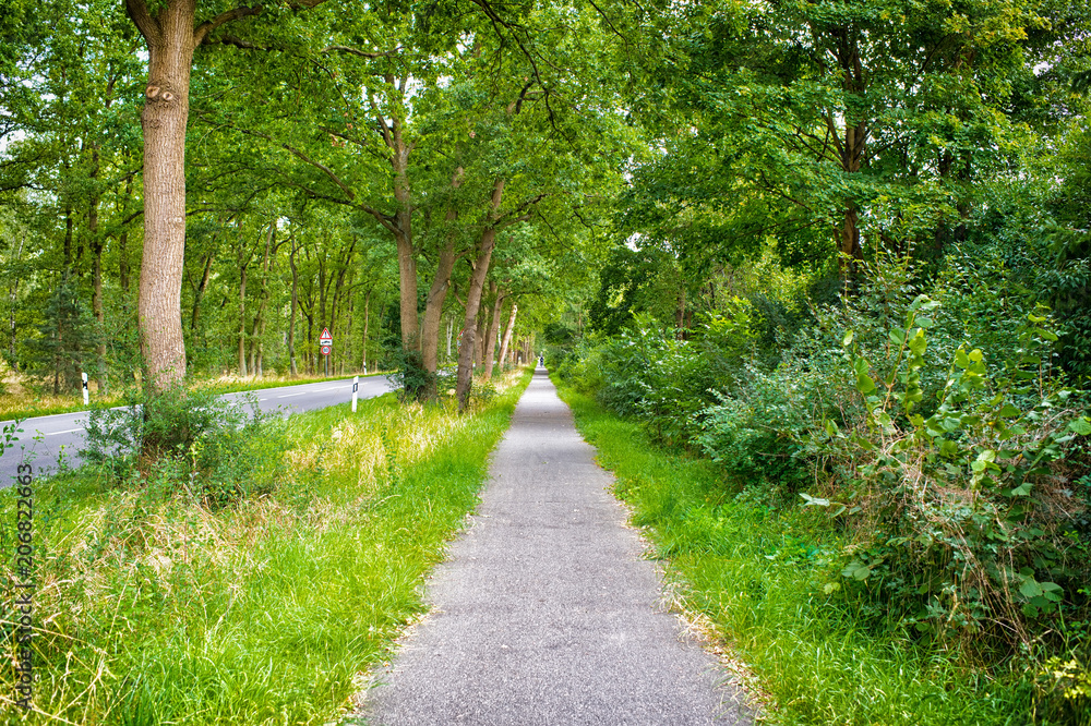 Sideway of countryside road in summer nature. Footpath with green trees and grass on sides. Direction and destination. Summer vacation travelling and wanderlust