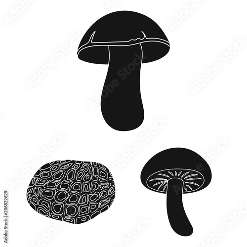 Poisonous and edible mushroom black icons in set collection for design. Different types of mushrooms vector symbol stock web illustration.