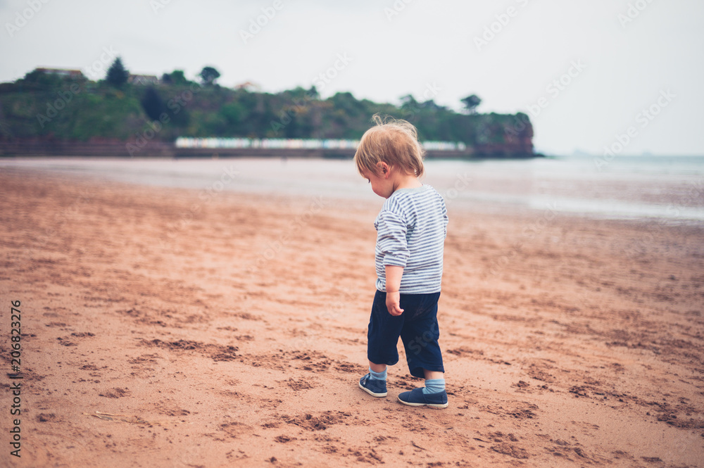 Toddler boy walking on the beach