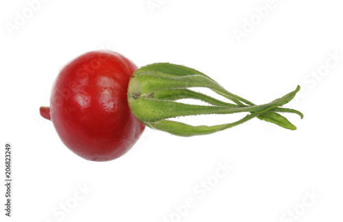 rosehip isolated on white