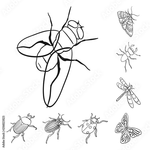 Different kinds of insects outline icons in set collection for design. Insect arthropod vector isometric symbol stock web illustration.