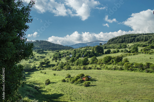 Green paradise