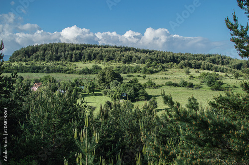 Green paradise