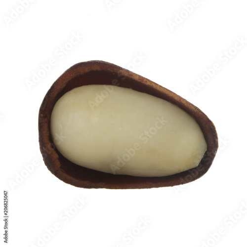 shelled cedar nut isolated on white background