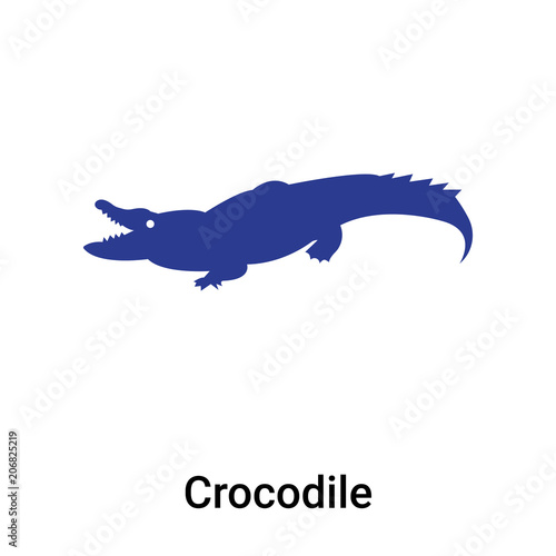 Crocodile icon vector sign and symbol isolated on white background