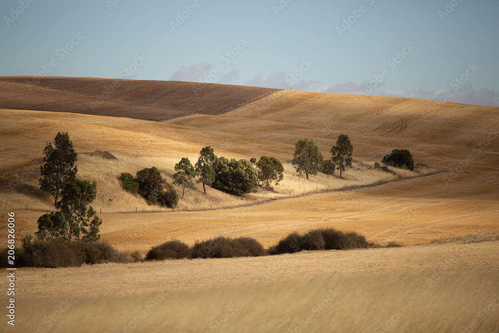 Obraz premium View over dry farm paddocks
