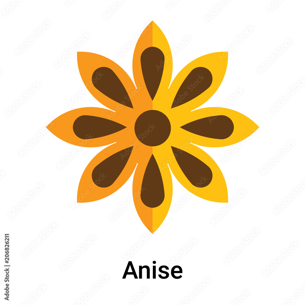 Anise icon vector sign and symbol isolated on white background Anise icon vector sign and symbol isolated on white background