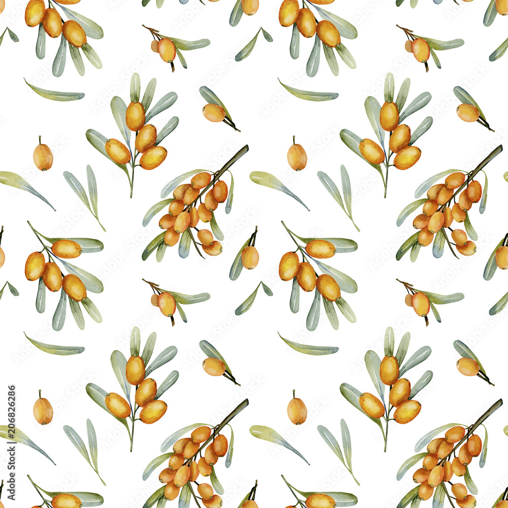Watercolor sea buckthorn berries seamless pattern, hand painted on a white background