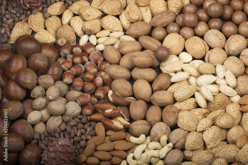 various nuts background