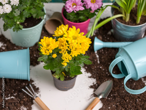 Picture of soil, watering can, flower pot, shovel, rake