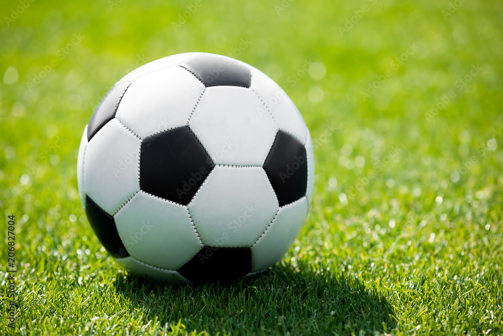 Soccer Ball on a Soccer Field. Green Grass Football Pitch. Soccer Turf in the Background Soccer Ball on a Soccer Field. Green Grass Football Pitch. Soccer Turf in the Background