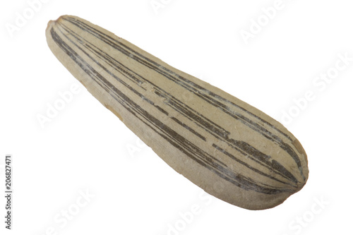 Wallpaper Mural white seed of sunflower isolated on white background Torontodigital.ca