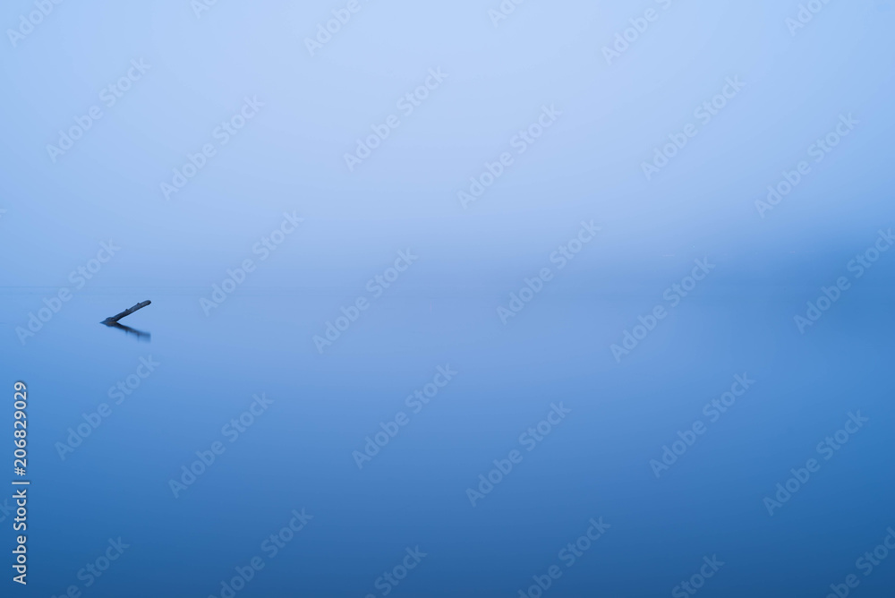 Obraz premium Stick coming out of foggy water