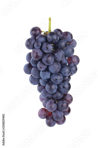 bunch of blue grapes isolated on white background