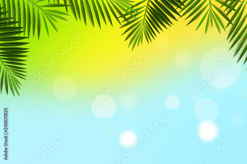 Summer Bokeh Background with Palm Leaves Frame. Can use Sale sign, flyer, poster, shopping, card, website, party, promotion, menu.