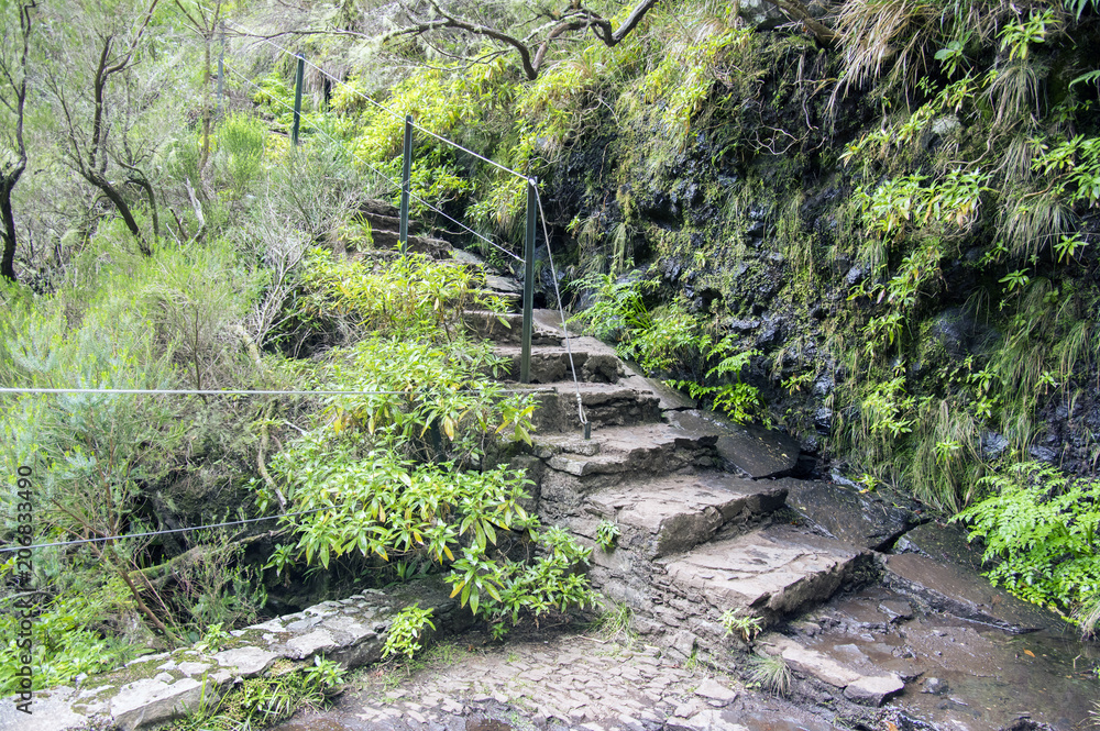 Obraz premium Stairs to Levada das 25 fontes, touristic hiking trail, Rabacal, Madeira island, Portugal