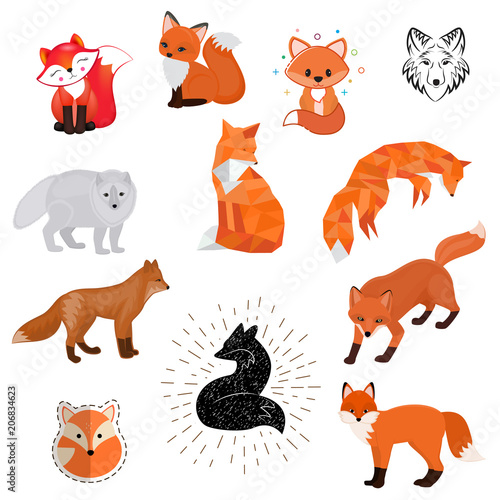Fox vector cartoon cute illustration of animal wild logo, flat, sketch design wildlife foxy baby isolated wild animal on white background
