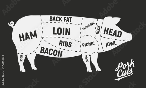 Cuts of pork Poster. Meat cuts. Vintage diagram. Vector illustration