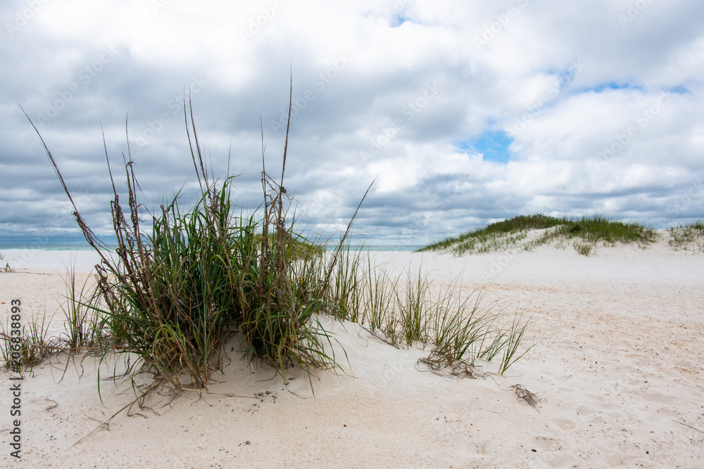 Wild Dunes at Pensacola Beach National Seashore Wild Dunes at Pensacola Beach National Seashore