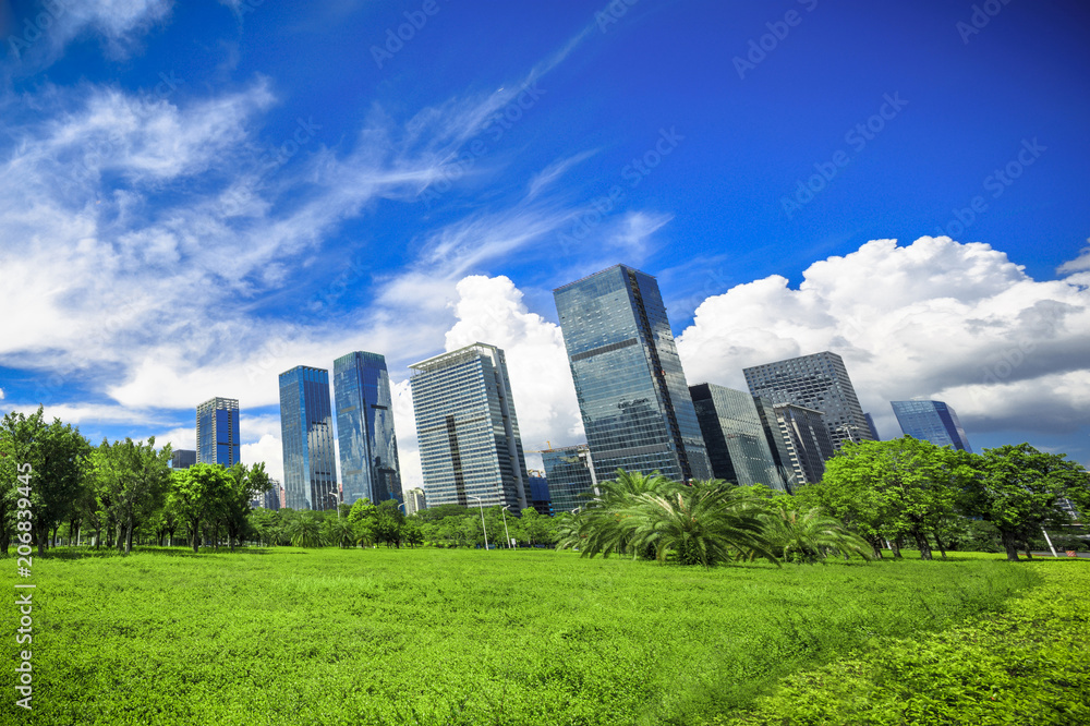 Obraz premium City park under blue sky with Downtown Skyline in the Background