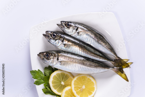 Horse mackerel in the white plate