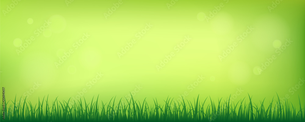 grüne wiese auf grünem hintergrund