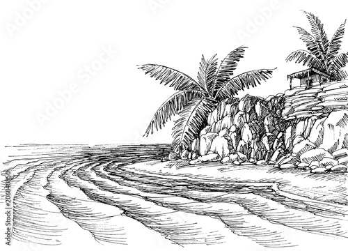 Sea view, small beach and palm trees