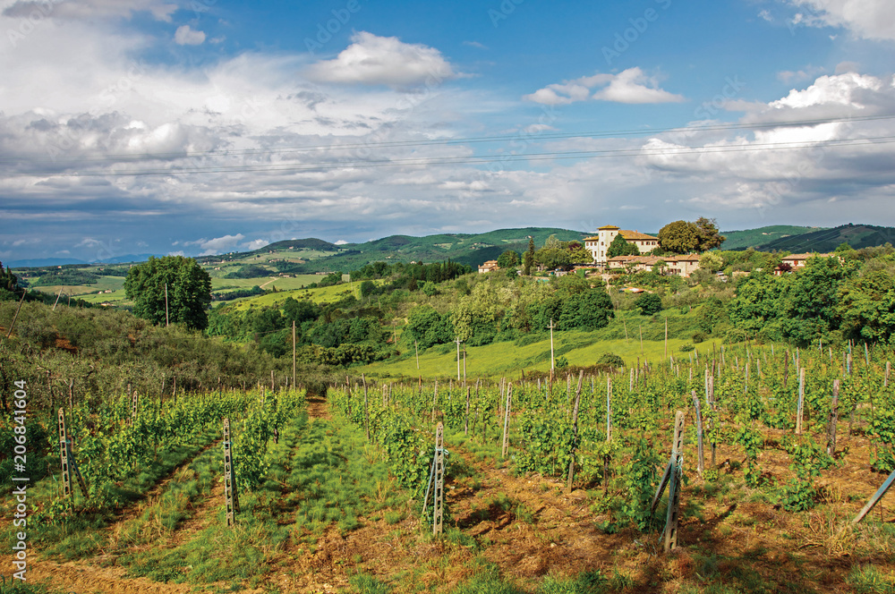View of vineyards and hills with villa at the top in the Tuscan countryside, an unbelievable and traditional region in the center of the Italian Peninsula. Located in the Tuscany region 