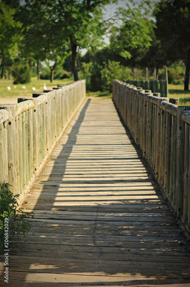 wooden footbridge in the park