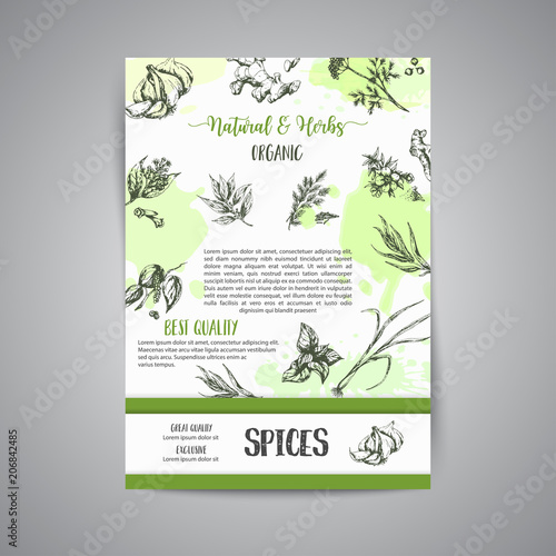 Herbs and spices background. Herb, plant, spice hand drawn set. Organic garden herbs engraving. Botanical sketches. Garlic, ginger, cloves and onion vector © KamimiArt