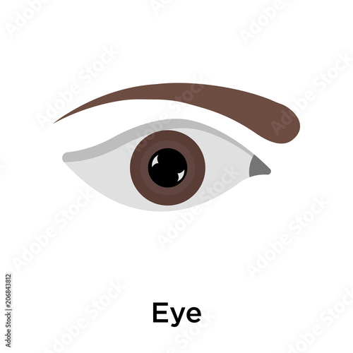 Eye icon vector sign and symbol isolated on white background