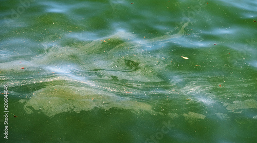 Foto Pollution the sea surface.