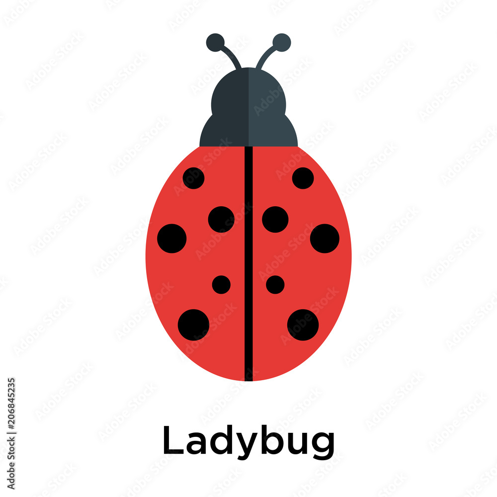 Fototapeta premium Ladybug icon vector sign and symbol isolated on white background