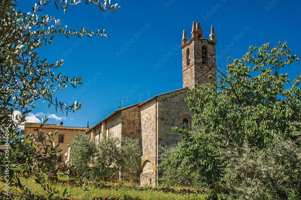 Fototapeta premium Overview of church and bell tower with trees around in the hamlet of Monteriggioni. A medieval fortress, surrounded by stone walls, at the top of a hill, near Siena. Located in the Tuscany region