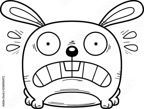 Terrified Little Rabbit