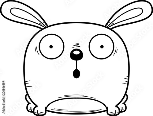 Surprised Little Rabbit