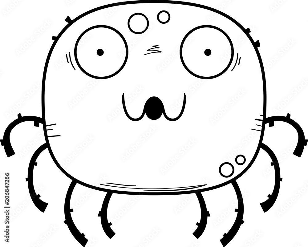 Fototapeta premium Surprised Little Spider