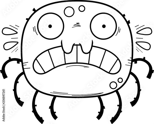 Scared Little Spider