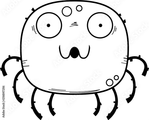 Surprised Little Spider