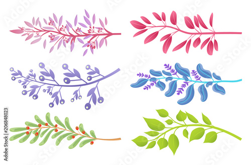 Branches with Colorful Leaves and Small Berries
