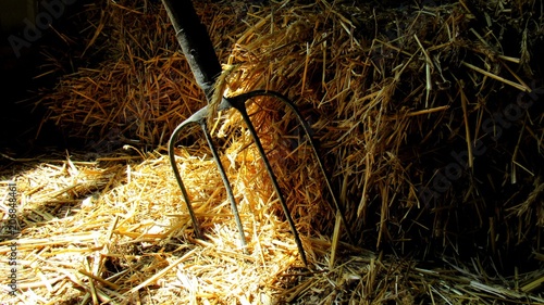 Photo old pitchfork In a haystack in a barn. farm tools
