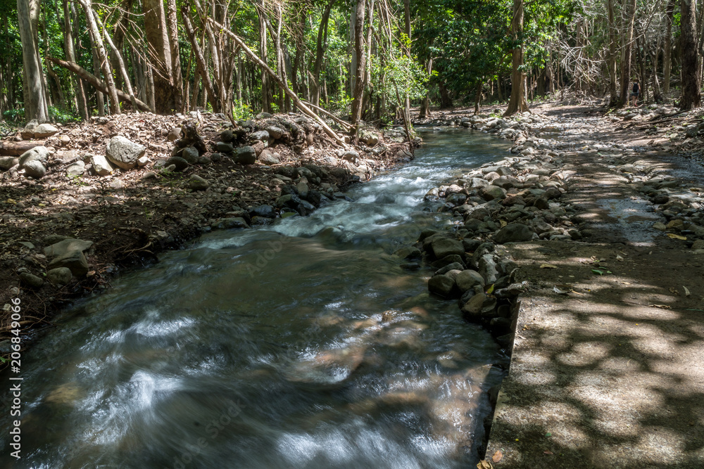 Black River National Park, Mauritius