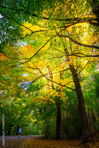 Autumn in Montreal, Canada