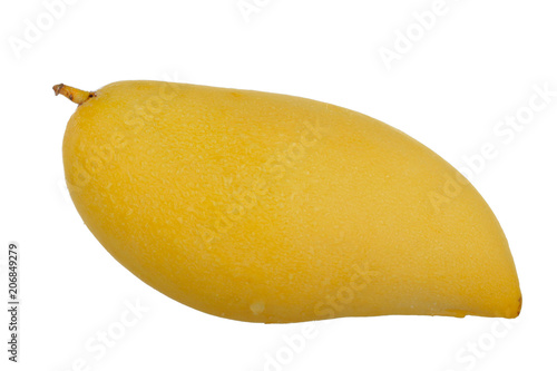 yellow mango isolated