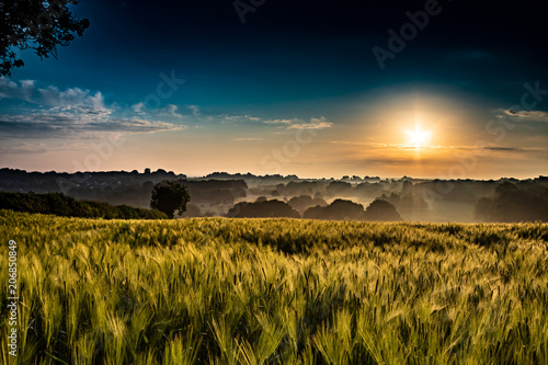 Morning sunrise in a farmers field in england